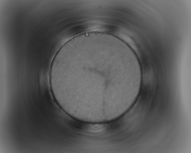 X0000096721338200802191521