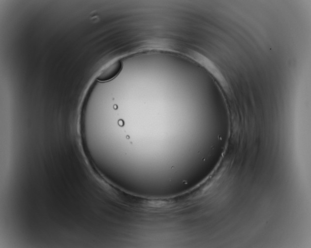 X0000096721339200802191521