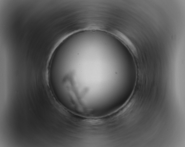 X0000096721340200802191521