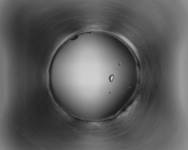 X0000096721341200802191521