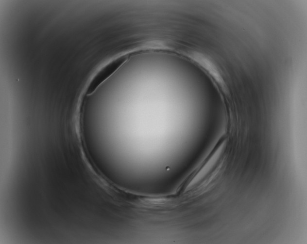 X0000096721342200802191521