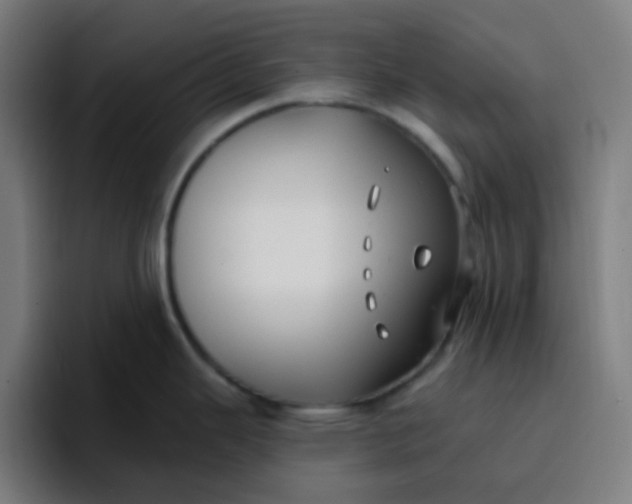 X0000096721343200802191521