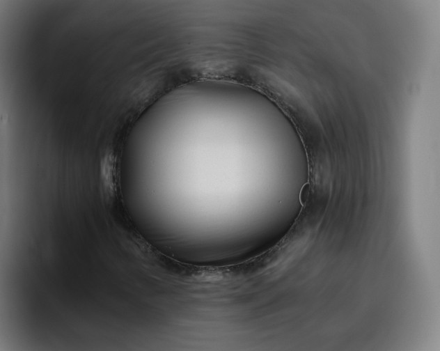 X0000096721346200802191520