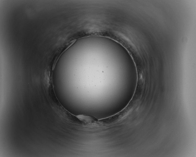 X0000096721348200802191520