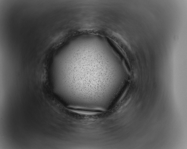 X0000096721350200802191520