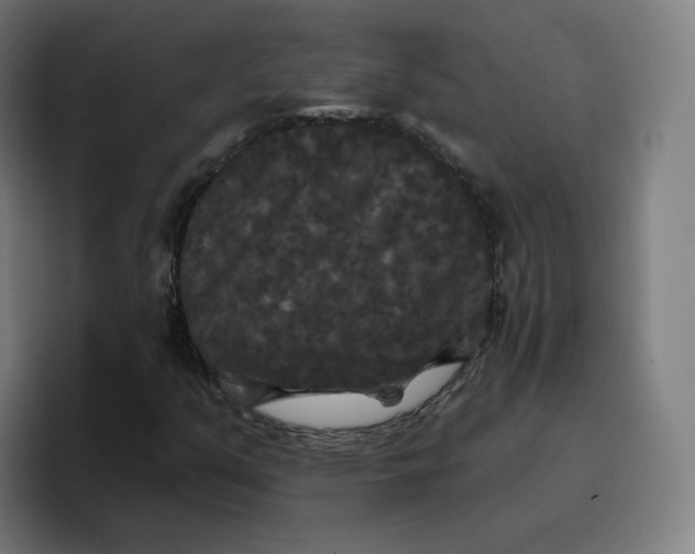 X0000096721351200802191520