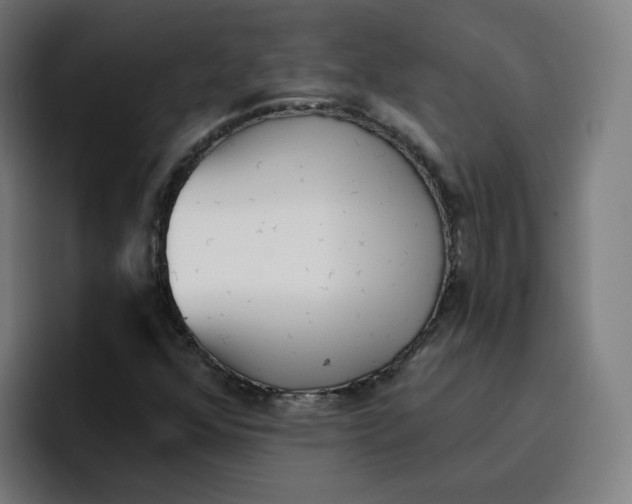 X0000096721352200802191520