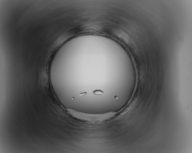 X0000096721354200802191520