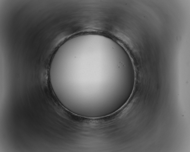 X0000096721355200802191520