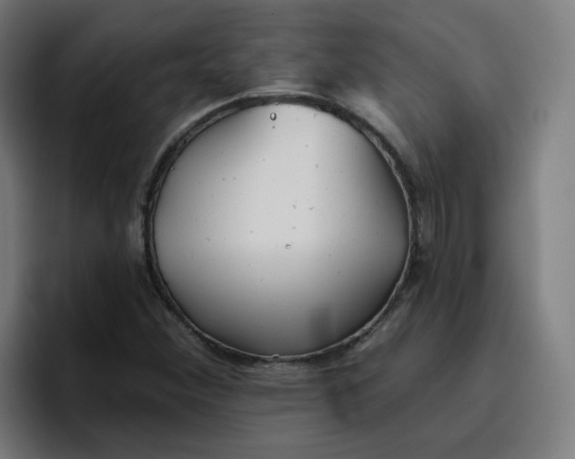 X0000096721356200802191520