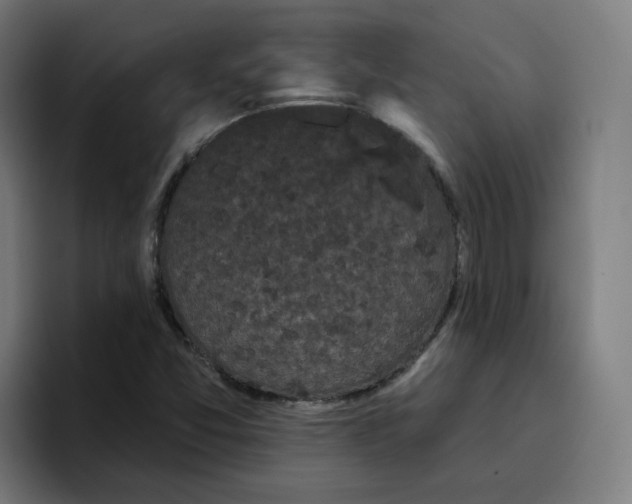 X0000096721357200802191520