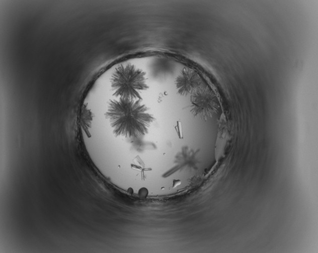 X0000096721359200802191520