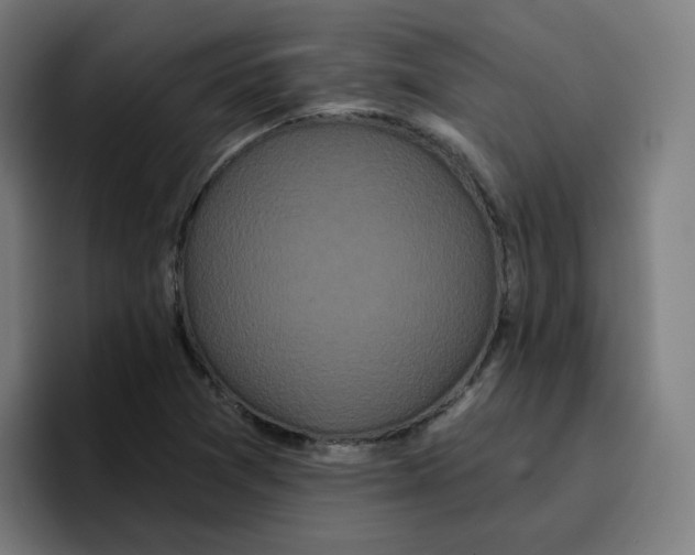 X0000096721361200802191520