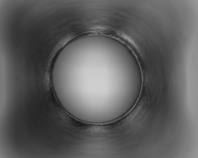 X0000096721362200802191520