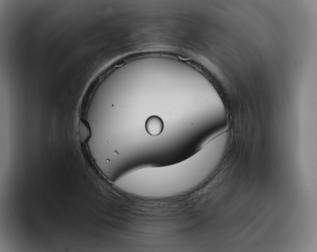 X0000096721364200802191520