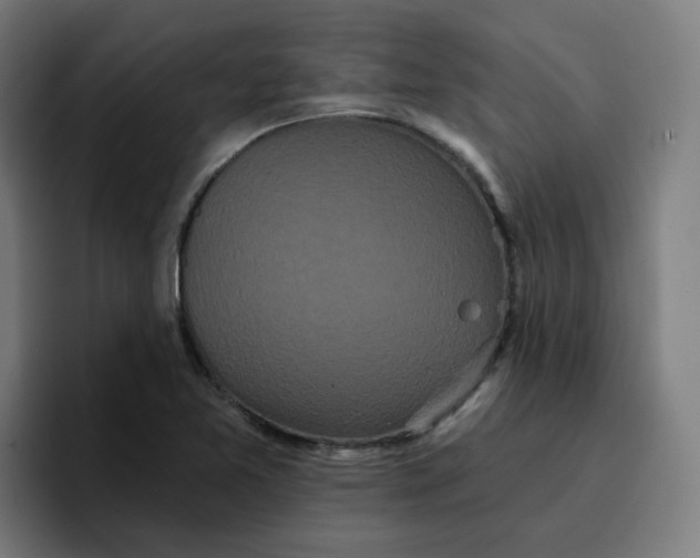 X0000096721365200802191520