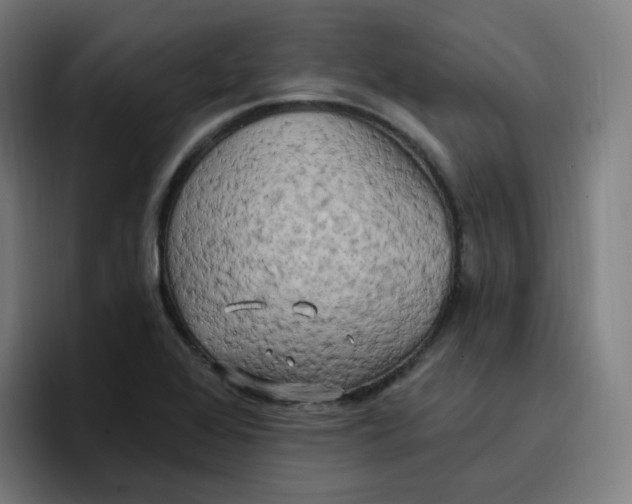 X0000096721368200802191520