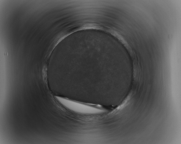 X0000096721369200802191520