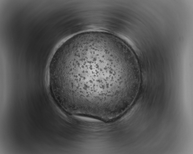 X0000096721371200802191520