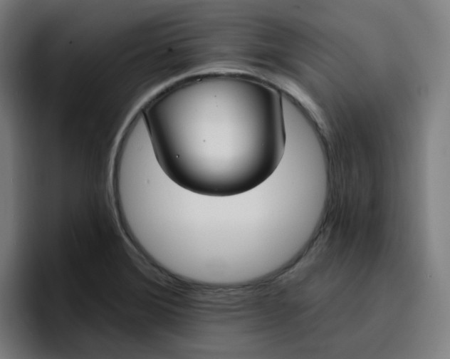 X0000096721372200802191520