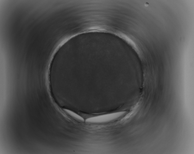 X0000096721373200802191520