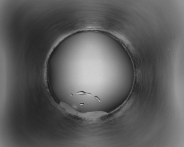 X0000096721374200802191520