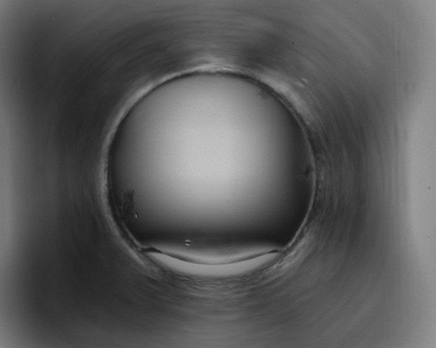 X0000096721375200802191520