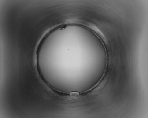 X0000096721376200802191520