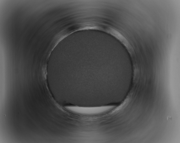 X0000096721377200802191520