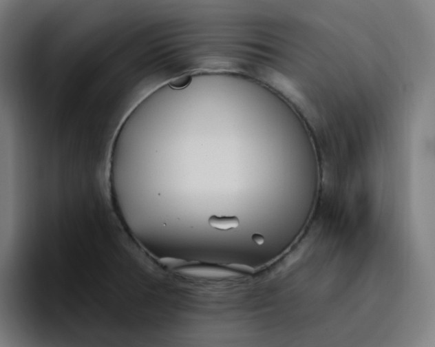 X0000096721378200802191520