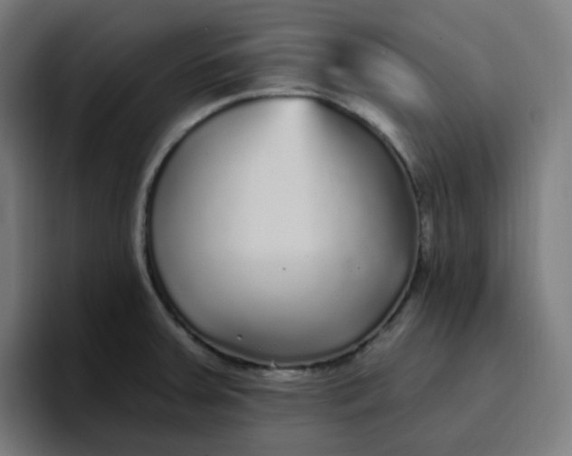 X0000096721379200802191520