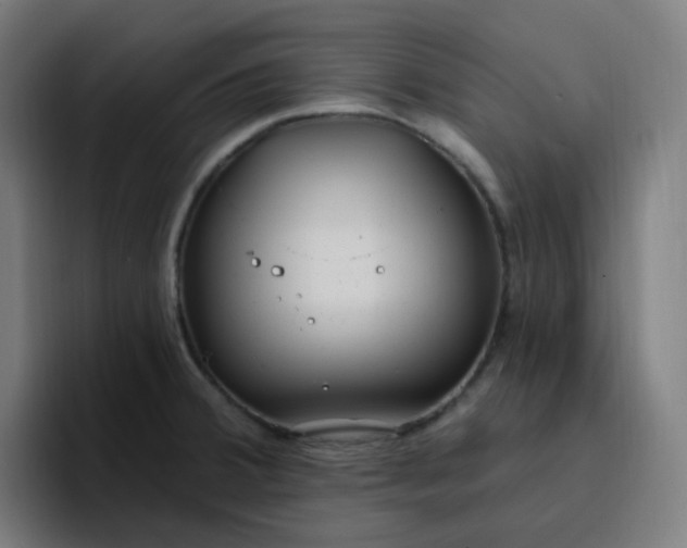 X0000096721380200802191520