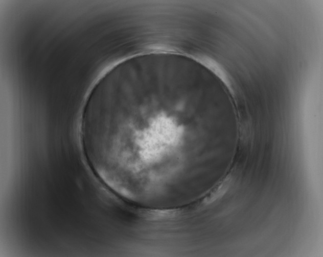 X0000096721381200802191520