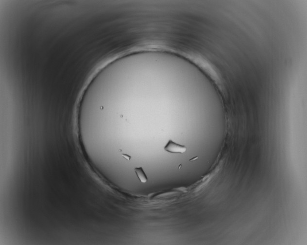 X0000096721382200802191519