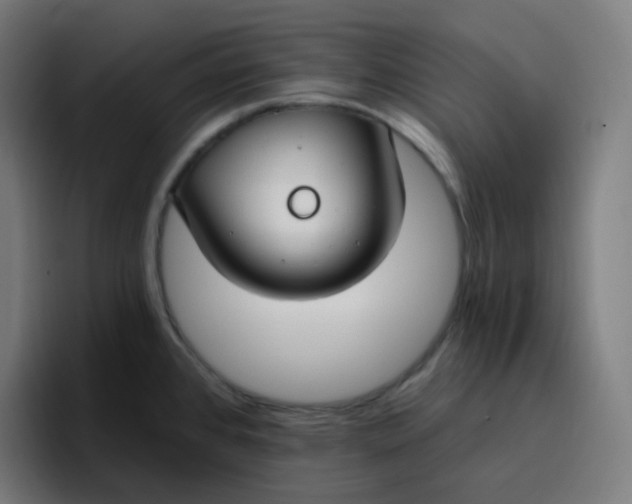 X0000096721384200802191519