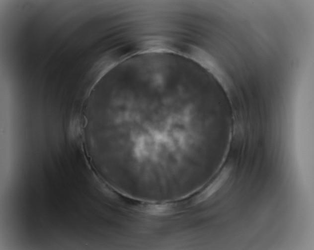 X0000096721385200802191519