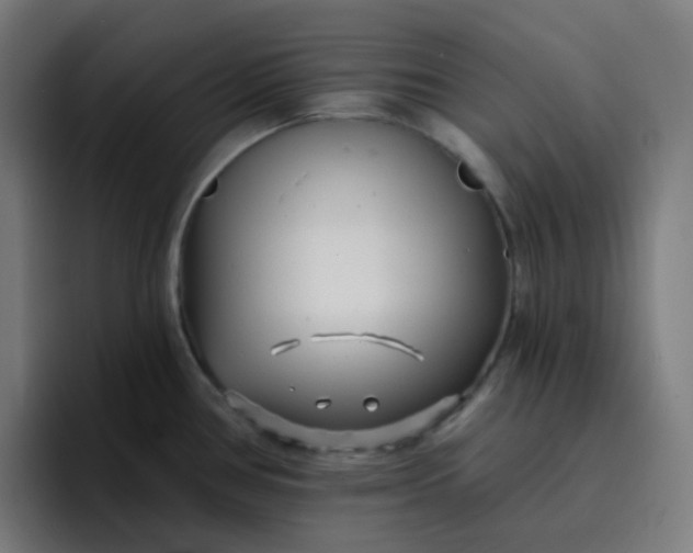 X0000096721386200802191519