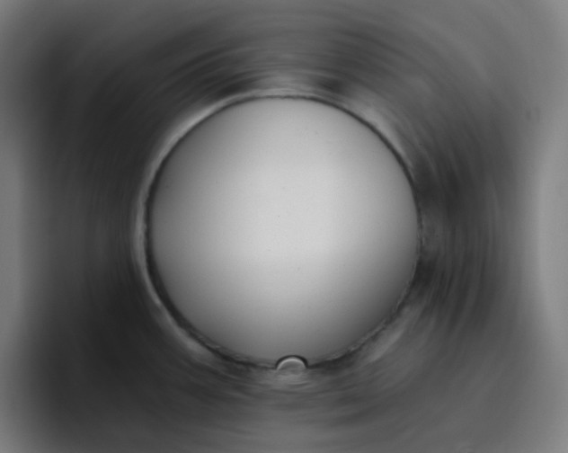 X0000096721387200802191519