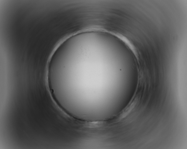 X0000096721390200802191519