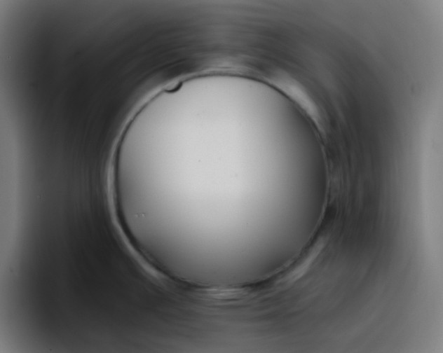 X0000096721391200802191519