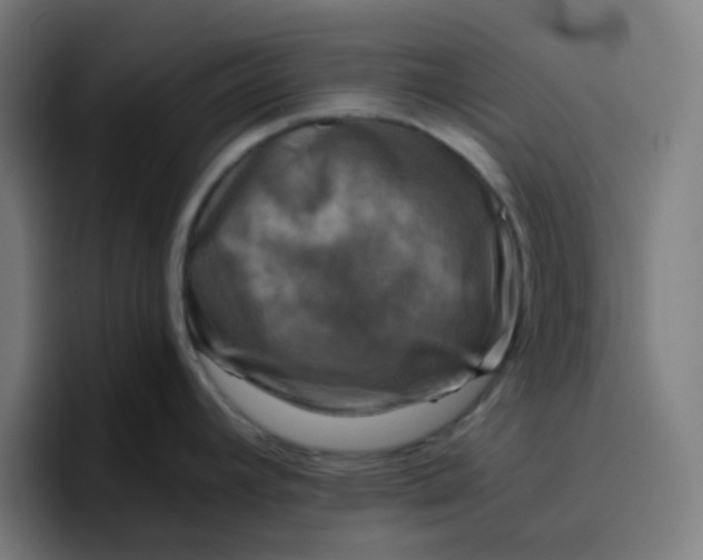 X0000096721392200802191519