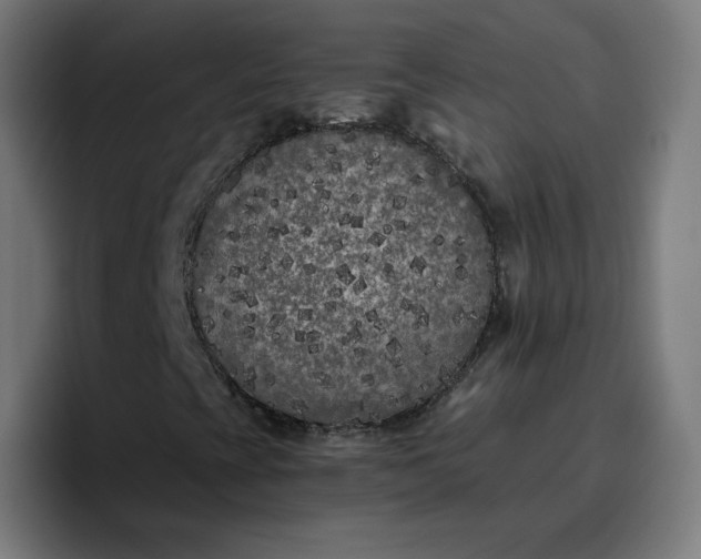 X0000096721393200802191519