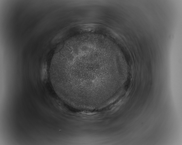 X0000096721394200802191519