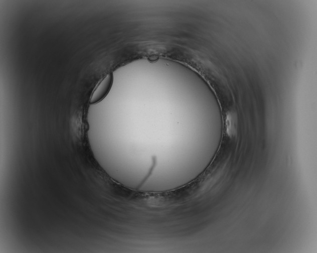 X0000096721395200802191519