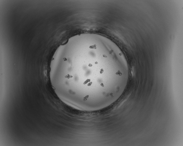 X0000096721396200802191519