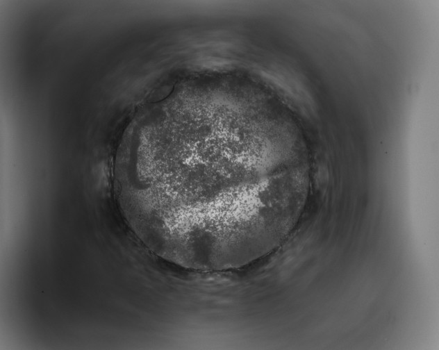 X0000096721397200802191519