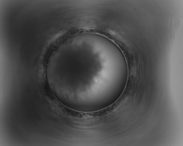 X0000096721398200802191519