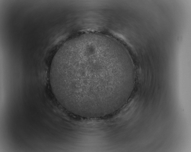 X0000096721399200802191519