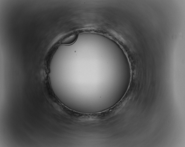 X0000096721400200802191519