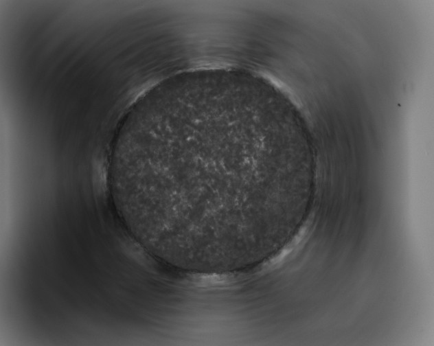 X0000096721401200802191519